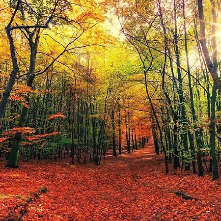 فيستبورك B&B Drenthe المظهر الخارجي الصورة