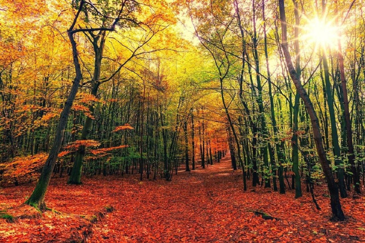 فيستبورك B&B Drenthe المظهر الخارجي الصورة